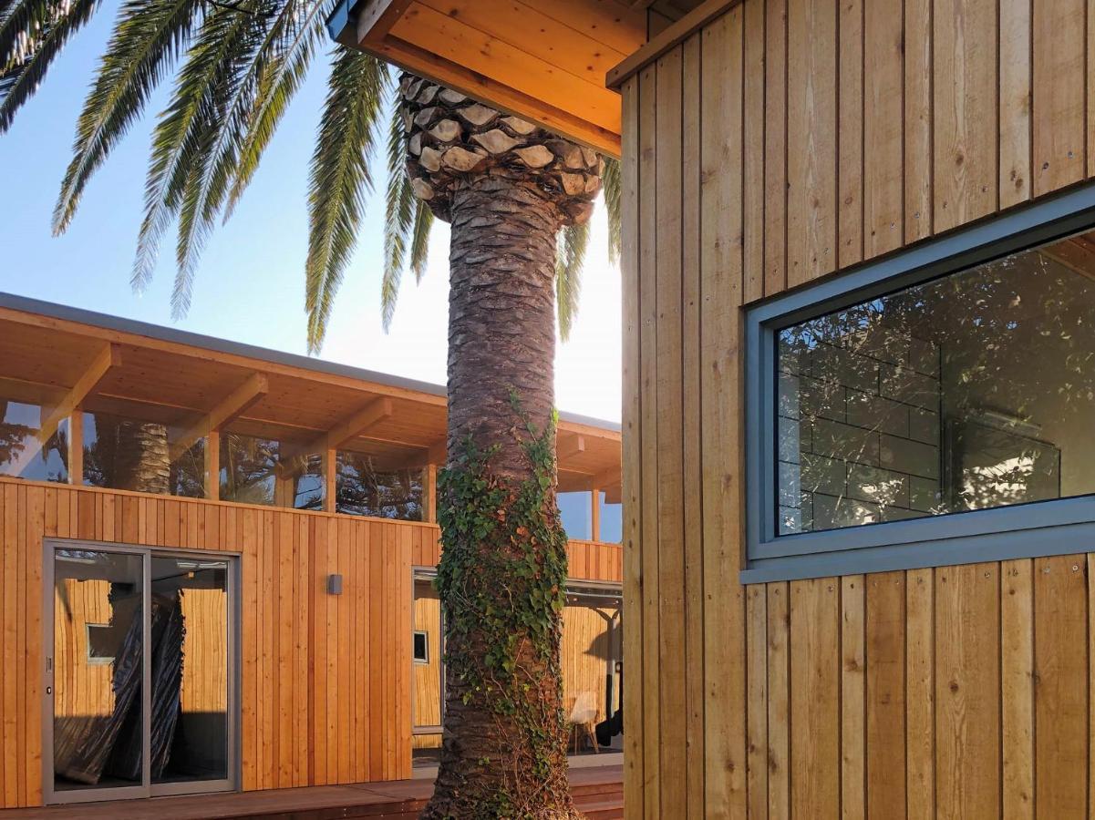 Palm And Pine Cottage Le Cap Extérieur photo